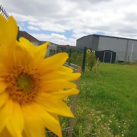 Chambre Calme Dans Une Maison Neuve Avec Jardin Billere Esterno foto