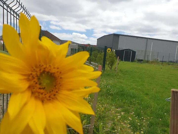 Chambre Calme Dans Une Maison Neuve Avec Jardin Billere Esterno foto